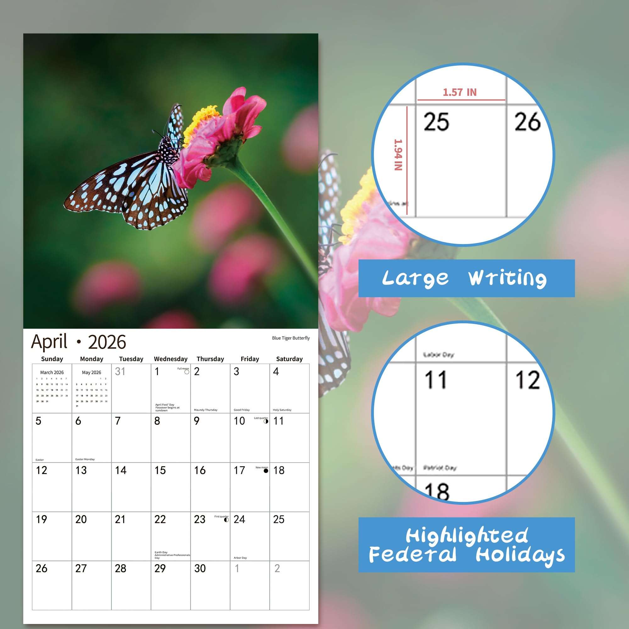 Amazon.co.jp: 2026年壁掛けカレンダー、カレンダー2026、2025年11月