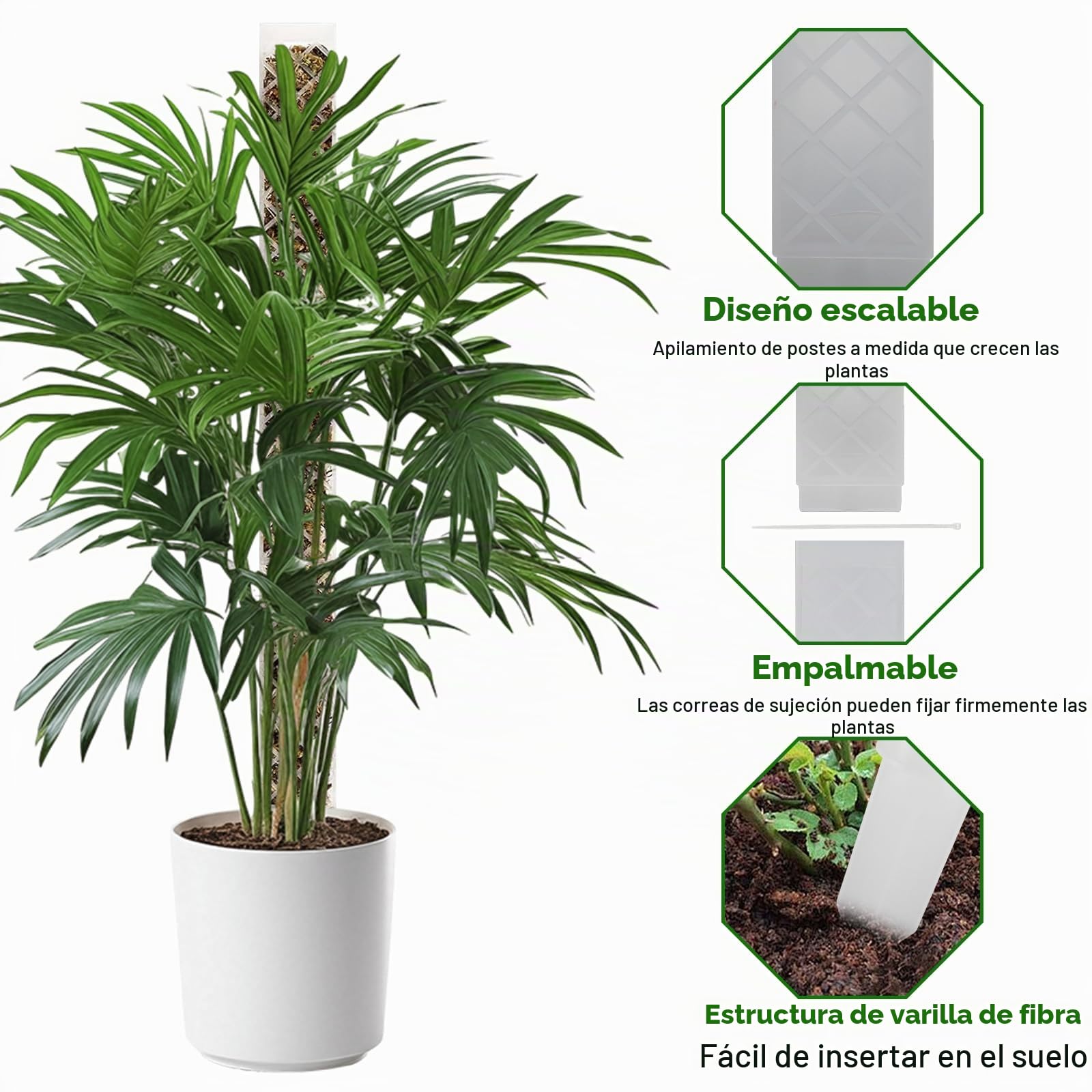 FAELNK Varilla de Musgo para Enrejado de Monstera Enrejado para Plantas de Interior Varilla para Plantas Monstera con Planta Ayuda para Riego Bridas para Plantar en el Jardín (Blanco)