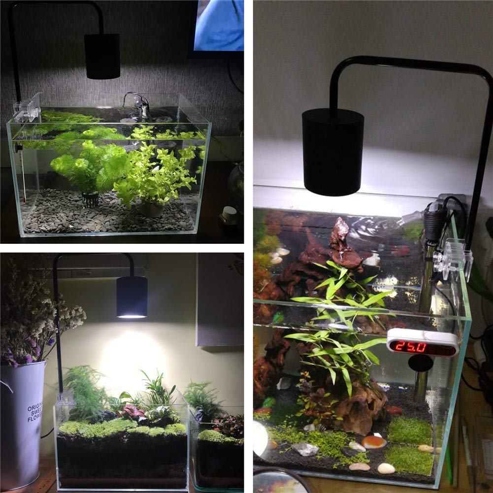 vivarium led lighting