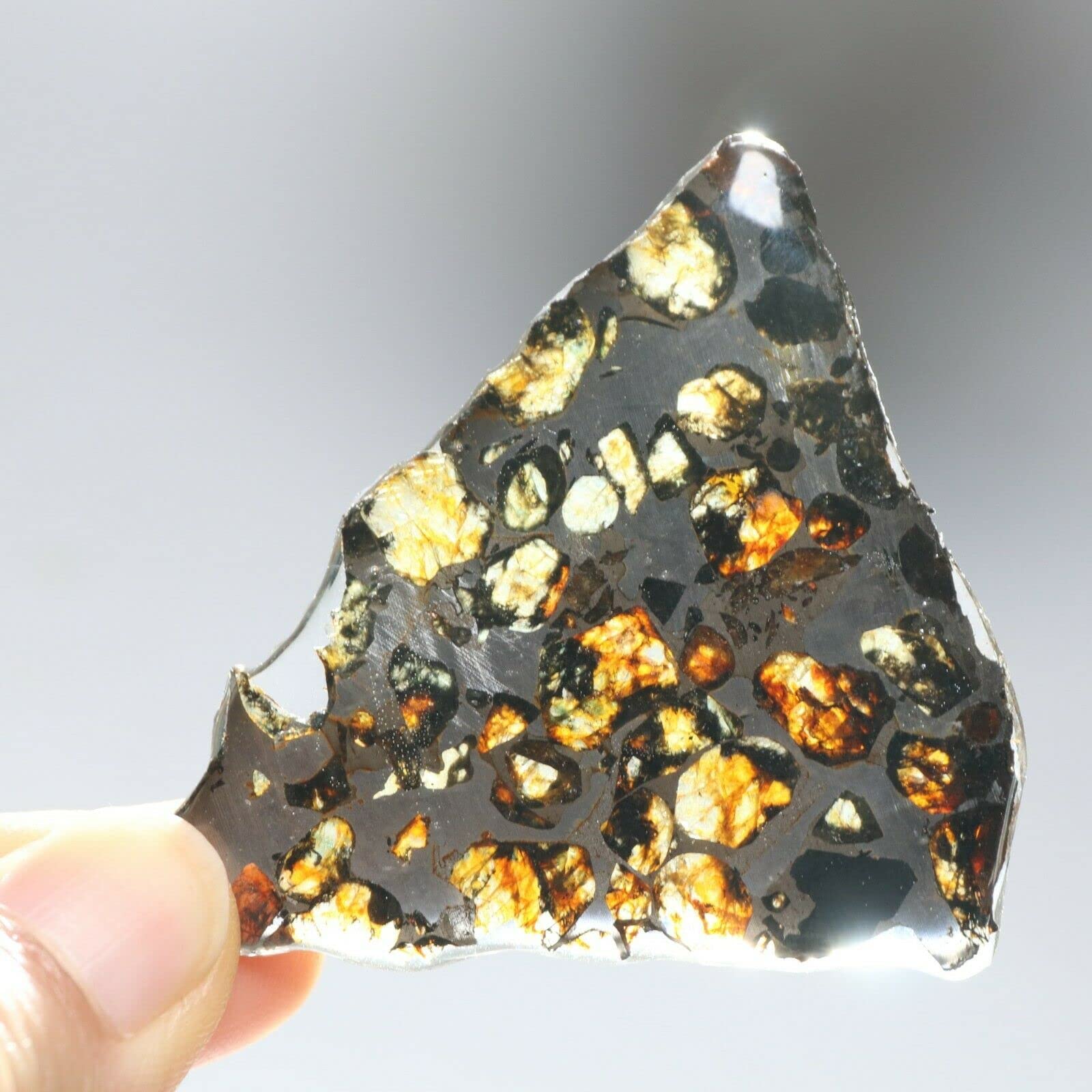 Amazon.com: 11 克隕石,稀有切片肯亞棕櫚石橄欖隕石E1581 : 玩具和遊戲