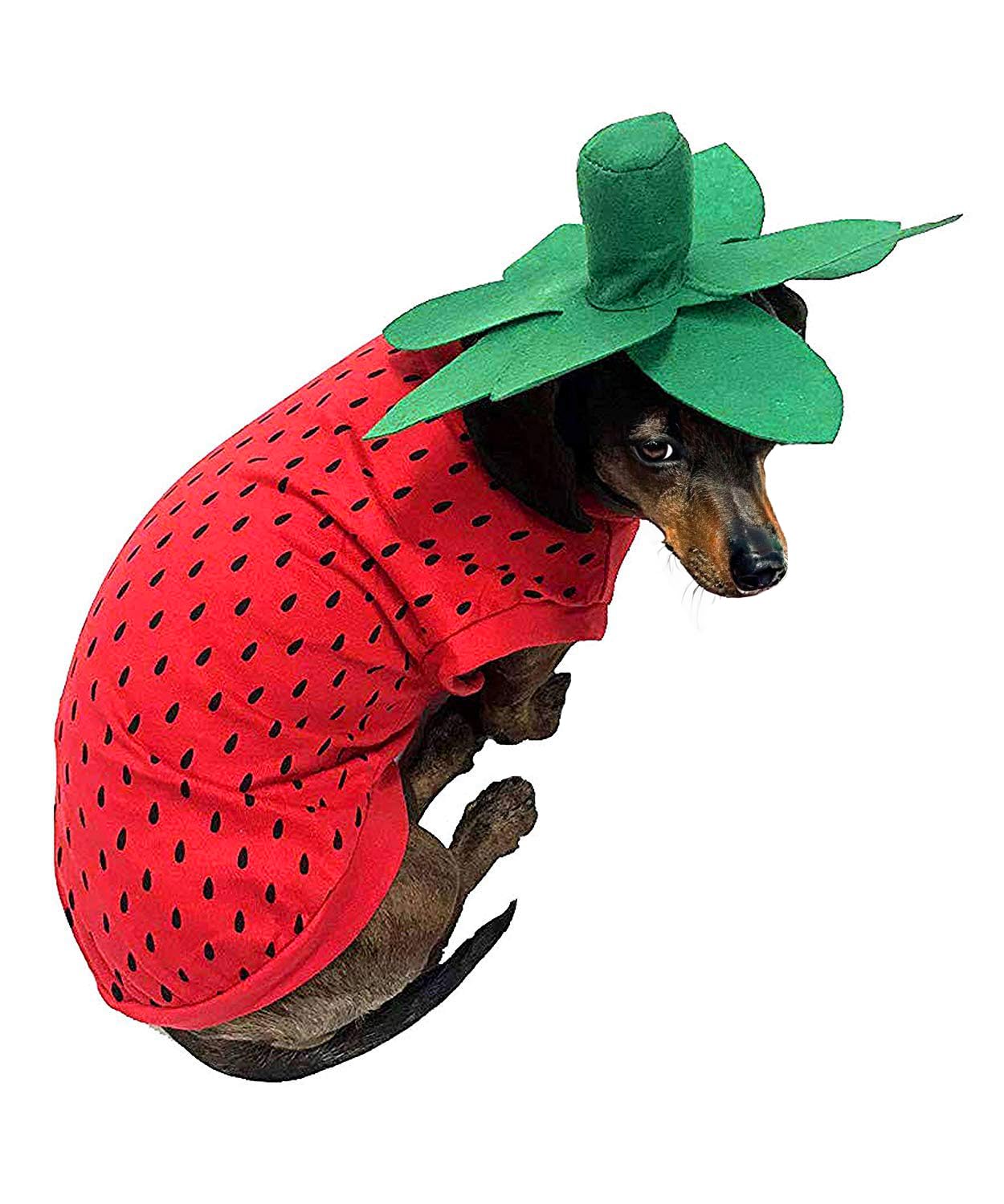 Pet Halloween Costume Dog Strawberry Costume Role Play Clothes for Thanksgiving Christmas (Red, L)