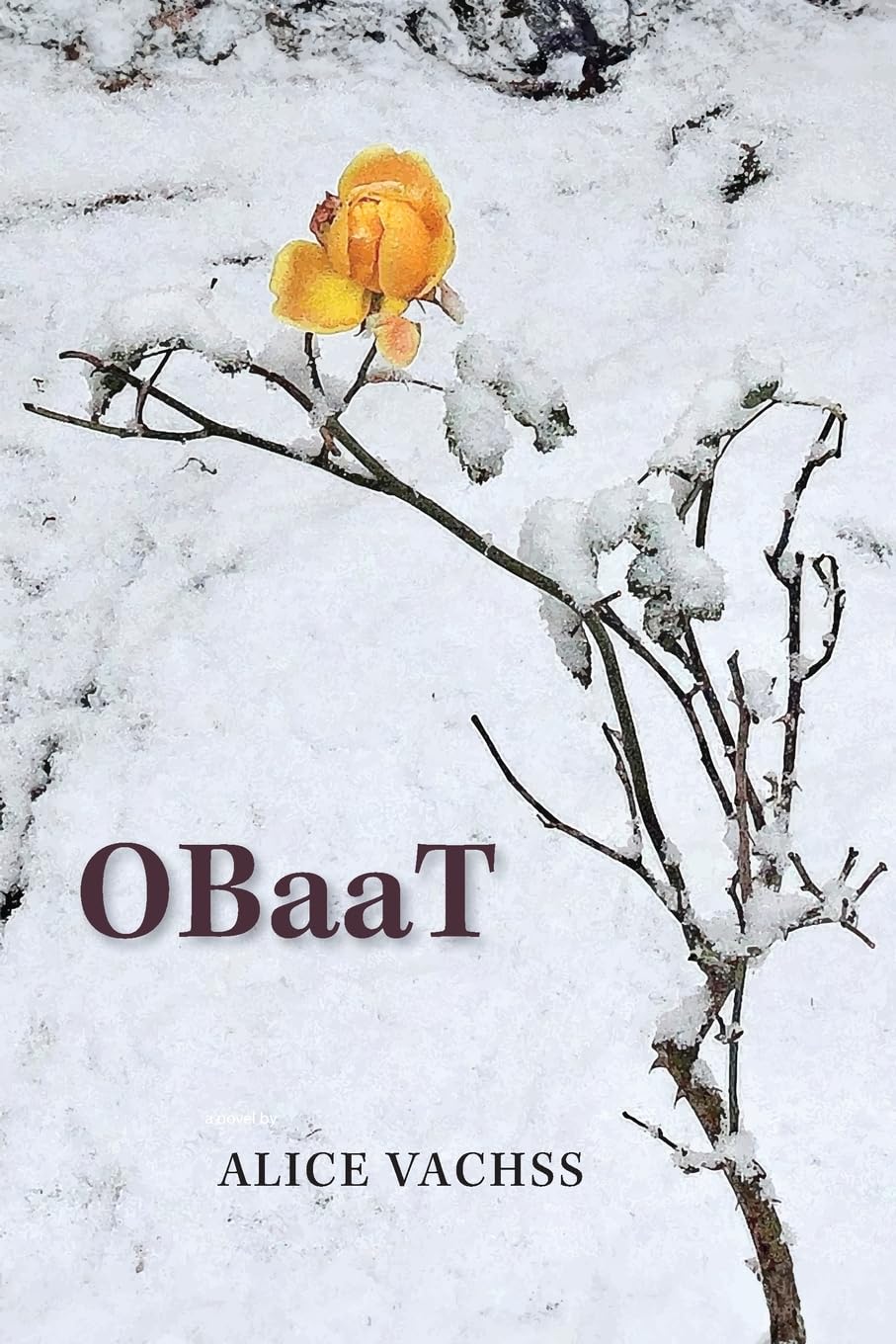 OBaaT - A Novel: One Bully at a Time