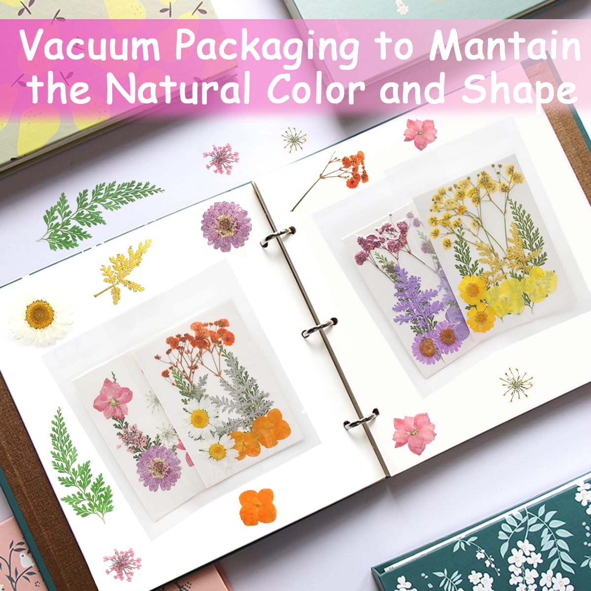Cinvo 40 Pcs Real Dried Pressed Flowers and Leaves Natural Dried Petals Greenery with Tweezer for Candle Resin Jewelry Soap Nail Pendant Phone Case Crafts Making Floral Decors DIY Embellishments - Image 4