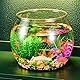 Transparentes Goldfischglas kleine Fischschale aus Plastik Bonsaischale Lotusblume Mini Fischglas Flache Kugelaquarium Aus Kunststoff, Runde Fischschale FüR Goldfische Und Kleine SchildkröTen