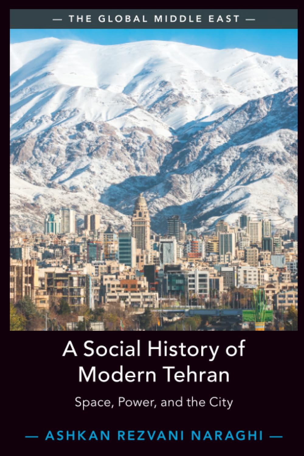 A Social History of Modern Tehran: Space, Power, and the City: 22 (The Global Middle East, Series Number 22)