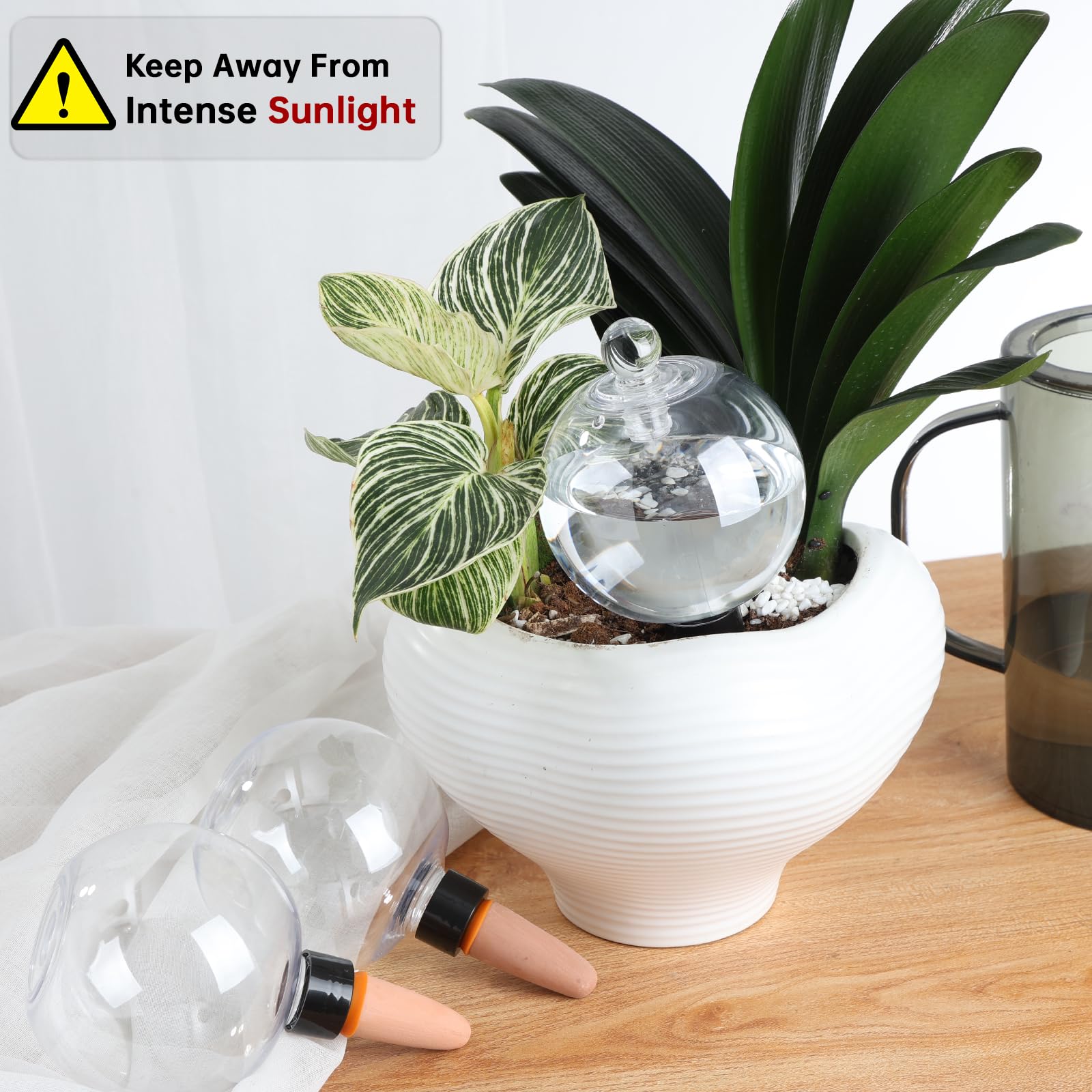 Confezione da 6 globi per irrigazione automatica delle piante, 500 ml, per interni ed esterni, dispositivi di irrigazione automatica a goccia