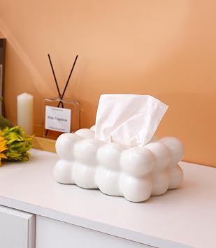 Bundle - Car Tissue Holder with Facial Tissues Refills