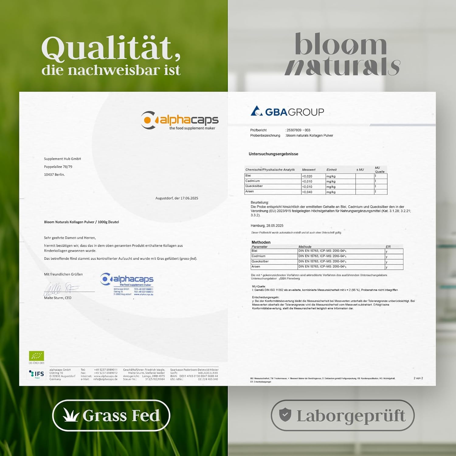 Grassgefüttertes Collagen Pulver 1500g (1,5 KG) - Hochdosiert & Geschmacksneutral Kollagen Hydrolysat Pulver, Peptid Typ 1 & 3 - Kollagen Peptide - Abgefüllt und getestet in Deutschland
