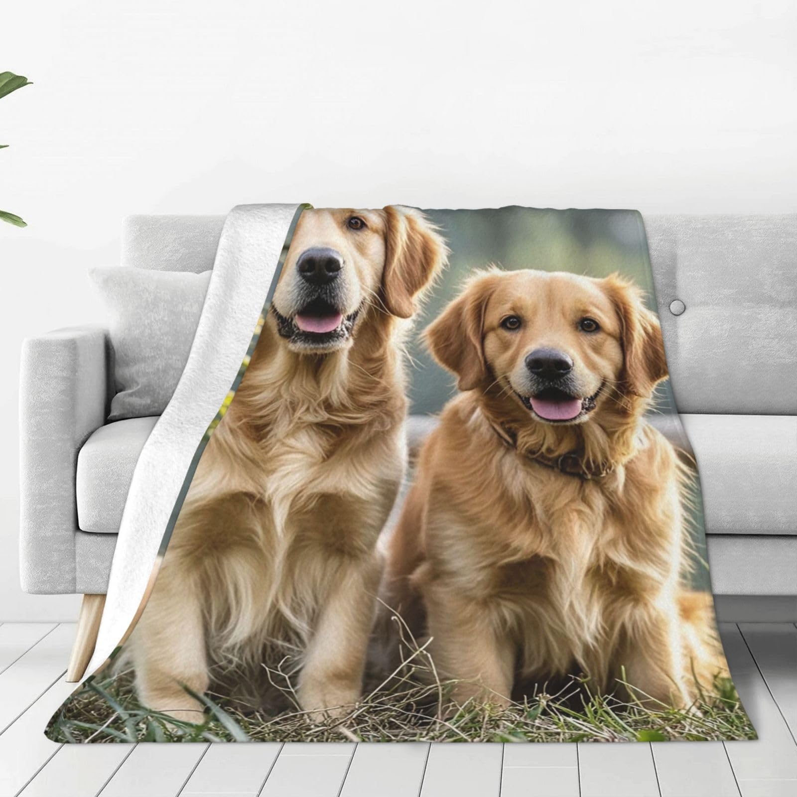 Couverture Golden Retriever de lit haut de gamme en flanelle réversible toutes saisons