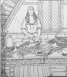 Amazon.com: The Official Outlander Coloring Book: An Adult Coloring