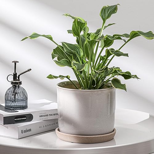 Vista 18 de Maceta de cerámica de 8 pulgadas: maceta de cerámica con orificio de drenaje y platillo para plantas de interior y exterior, maceta con bandeja