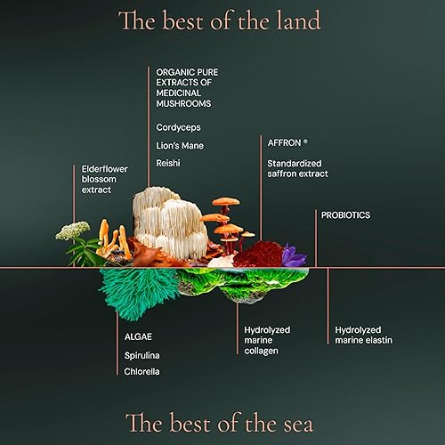 Miniatura 8 de HIFAS DA TERRA Optimum - Paquete de bienvenida para mujer, complejo de suplementos de hongos con Cordyceps y melena de león, pastillas de extracto