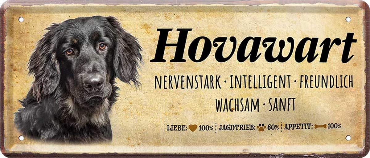 Retro Blechschild Französische Bulldogge – 28x12 Cm, Witziger Spruch, Geschenkidee Für Hundefreunde