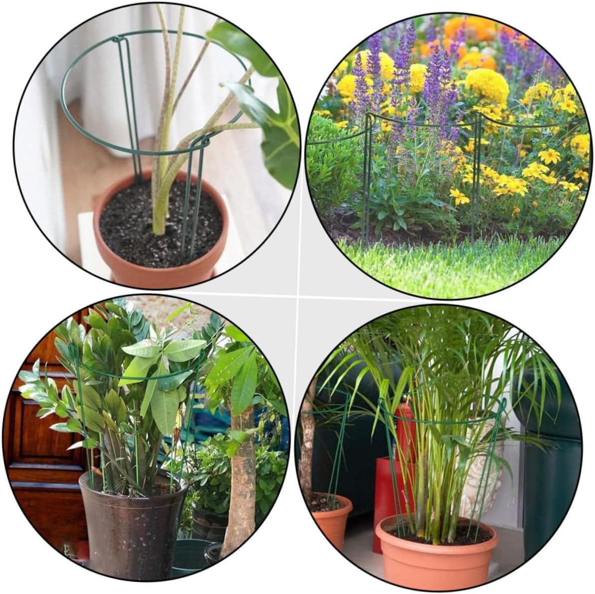 Mipcase 6Pcs Half Round Plant Support Stakes Sturdy Iron Art Racks for Garden Durable Plant Holders Outdoor Decorations for Flower Stability