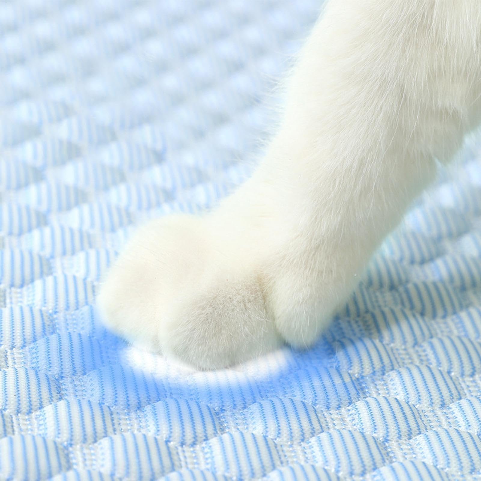 Generico Tappetino Refrigerante Cane Gatto - Materiale Seta Ghiaccio, Impermeabile (Taglie S/M/L) - Casa, Viaggio, Giardino - Design Arrotolabile