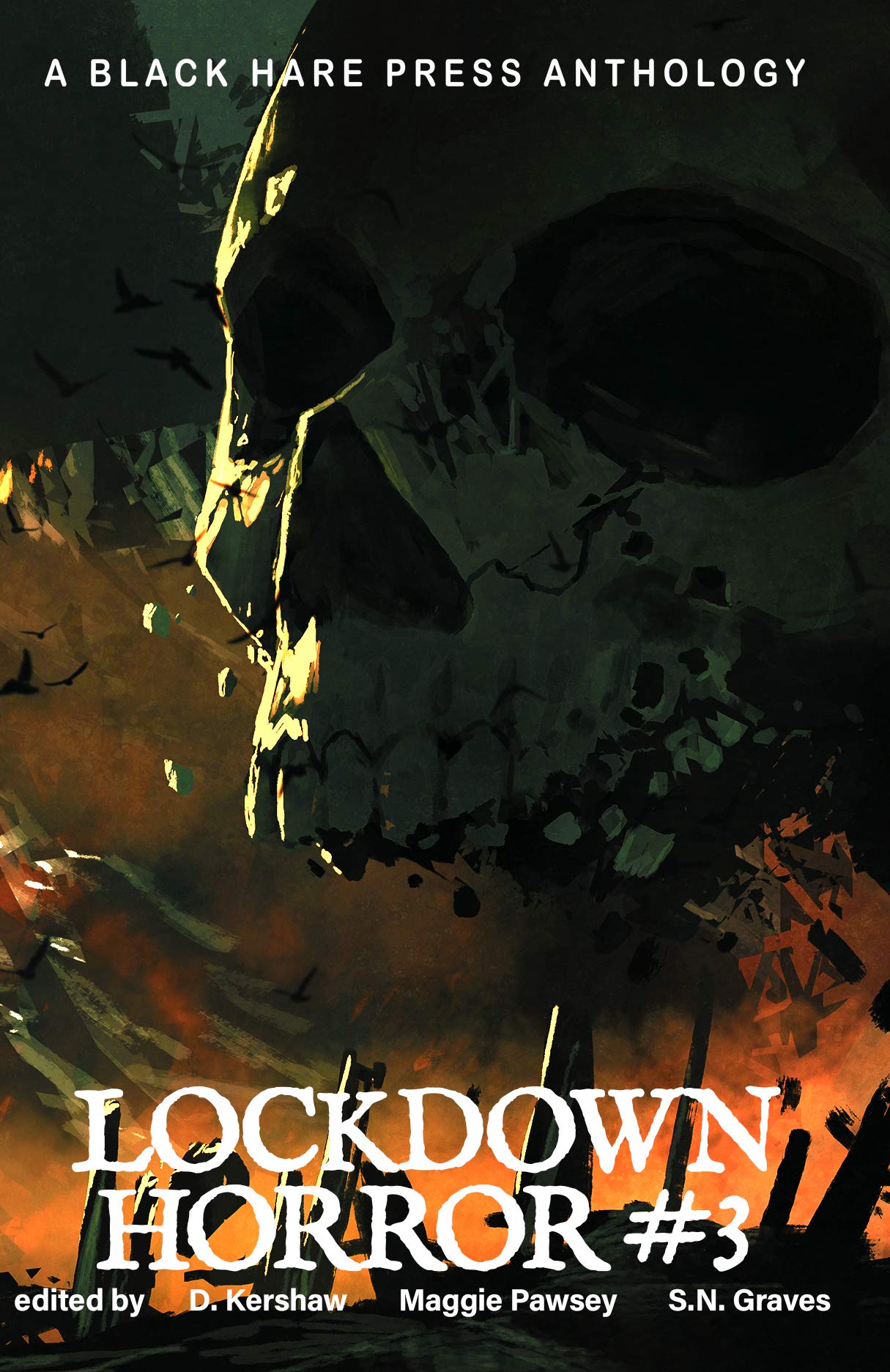 Book cover for Lockdown Horror #3