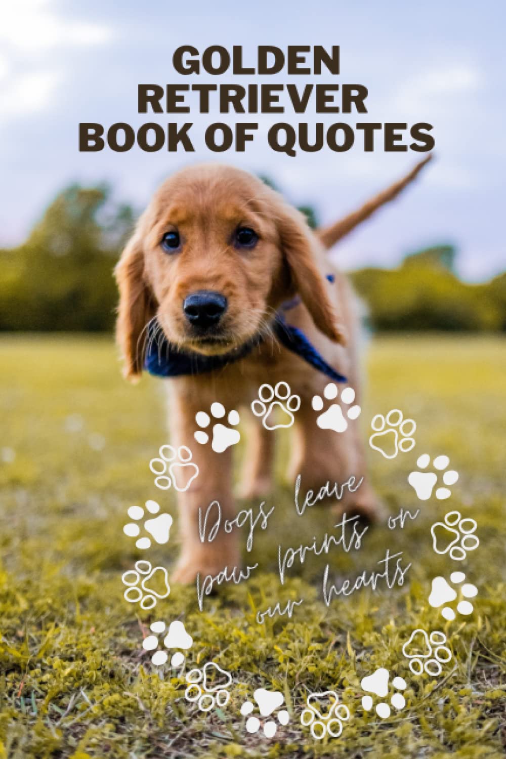 Golden Retriever Book of Quotes (Password Journal) SSSH! Its a secret notebook for usernames