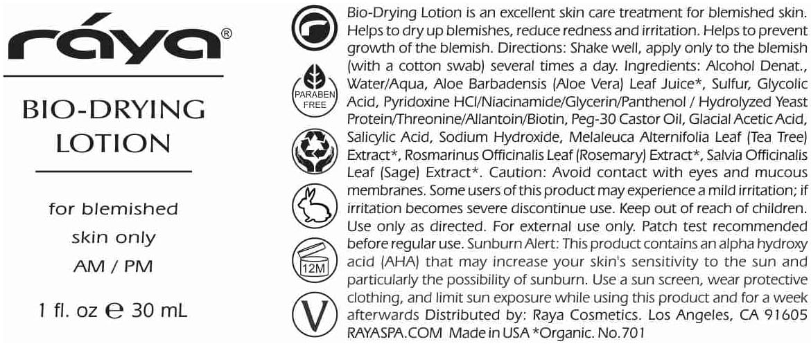 Raya Oily Skin Kit