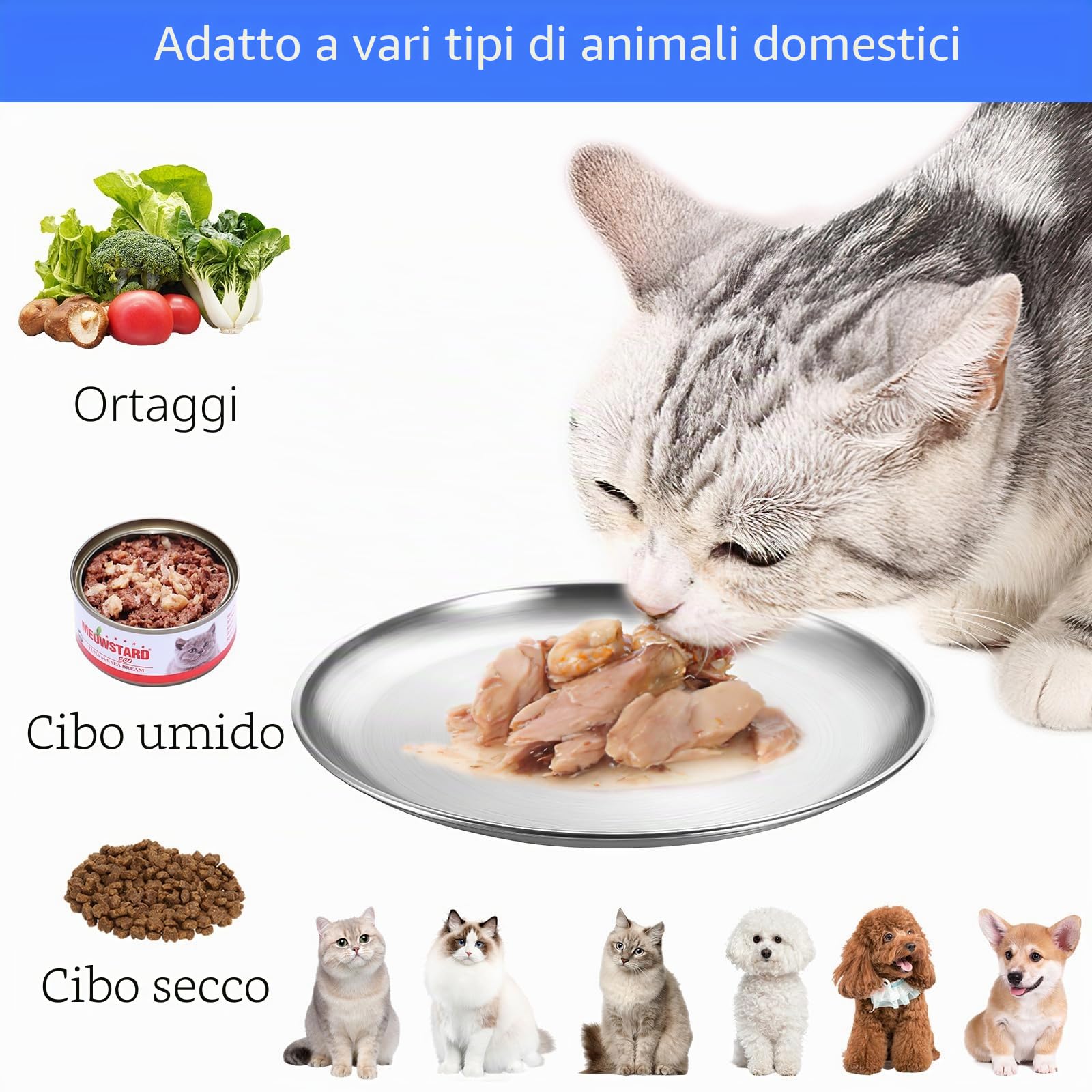 3 ciotole piatte per gatti in acciaio inox 14 cm Surefeed a prova di caduta