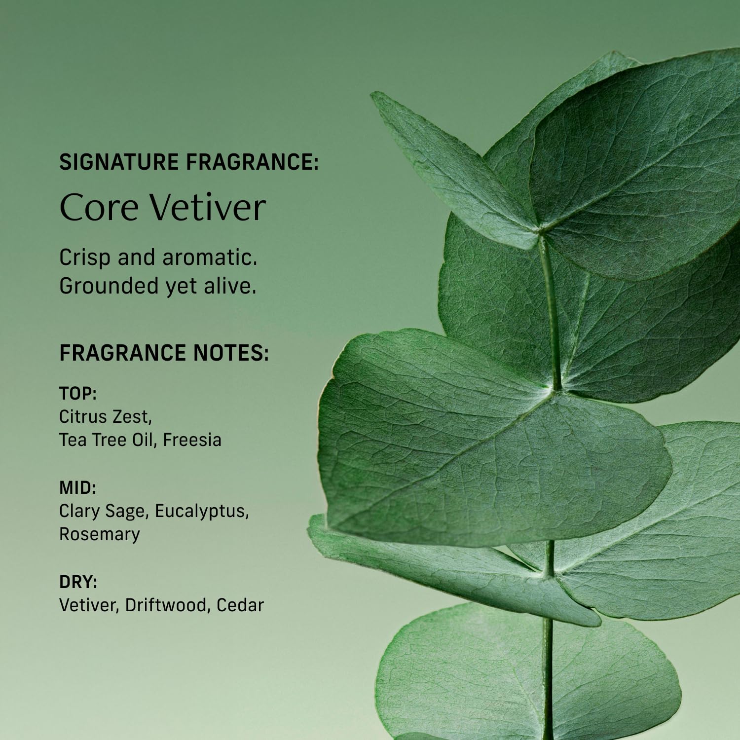 CYKLAR Perfume Oil Roll-On. Travel-Friendly Core Vetiver Fragrance, with Driftwood and Clary Sage Notes. Long-Lasting Parfum for Women and Men. 0.5 Fl Oz Scented Rollerball Bottle - Image 4