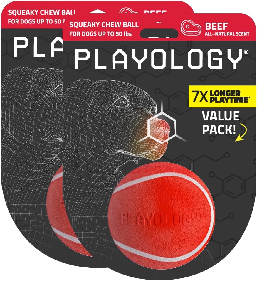 Playology Dog Toys | Squeaky Chew Ball - Bouncy Durable Floating Fetch Ball for Dogs, Value 2-Pack | Medium Beef Scented Toy - Easy to Clean and Made from Non Toxic Materials