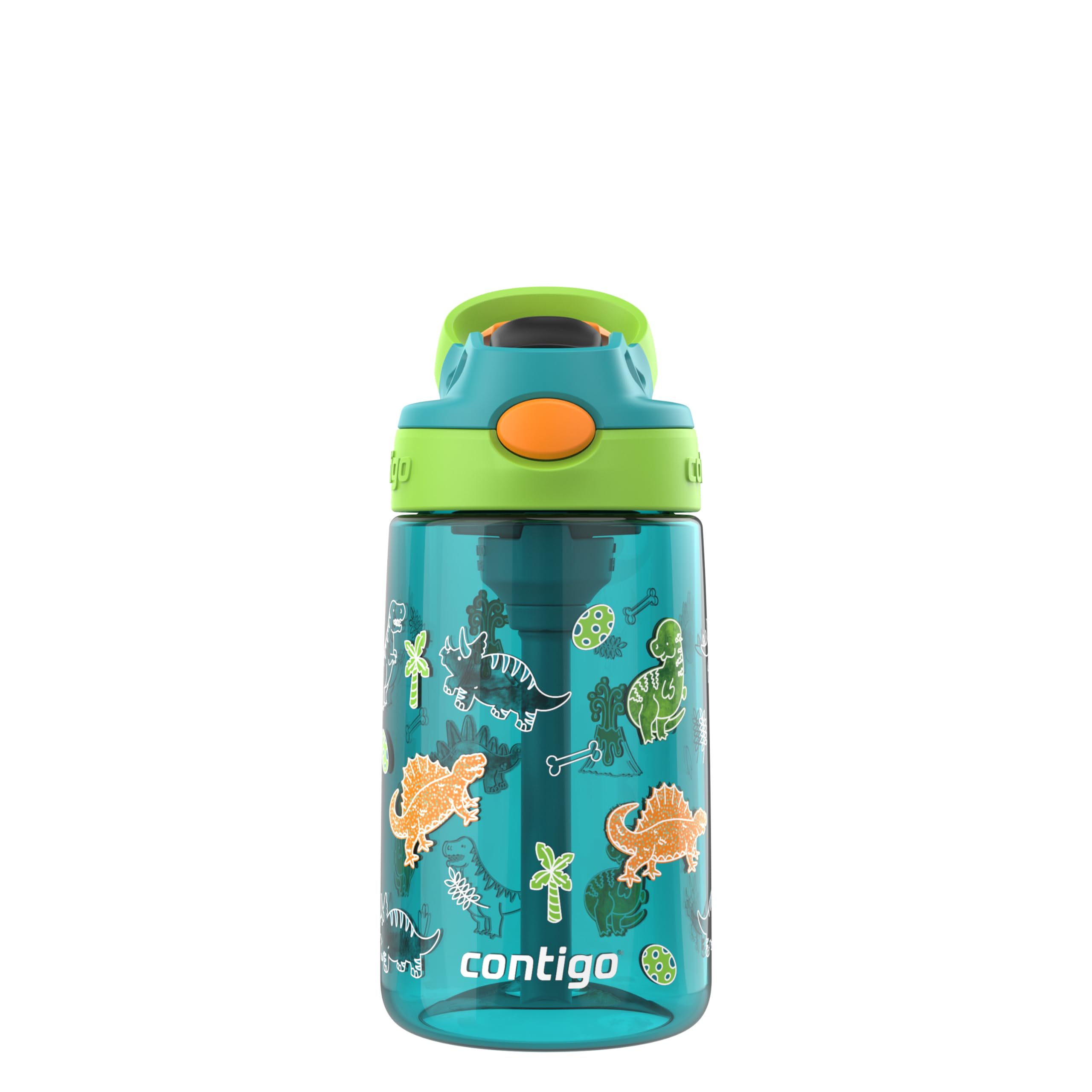 Contigo Aubrey Paw Patrol Leak-Proof Spill-Proof Water Bottle with Autospout, 14oz, Juniper (Dino GFX), Green and Blue