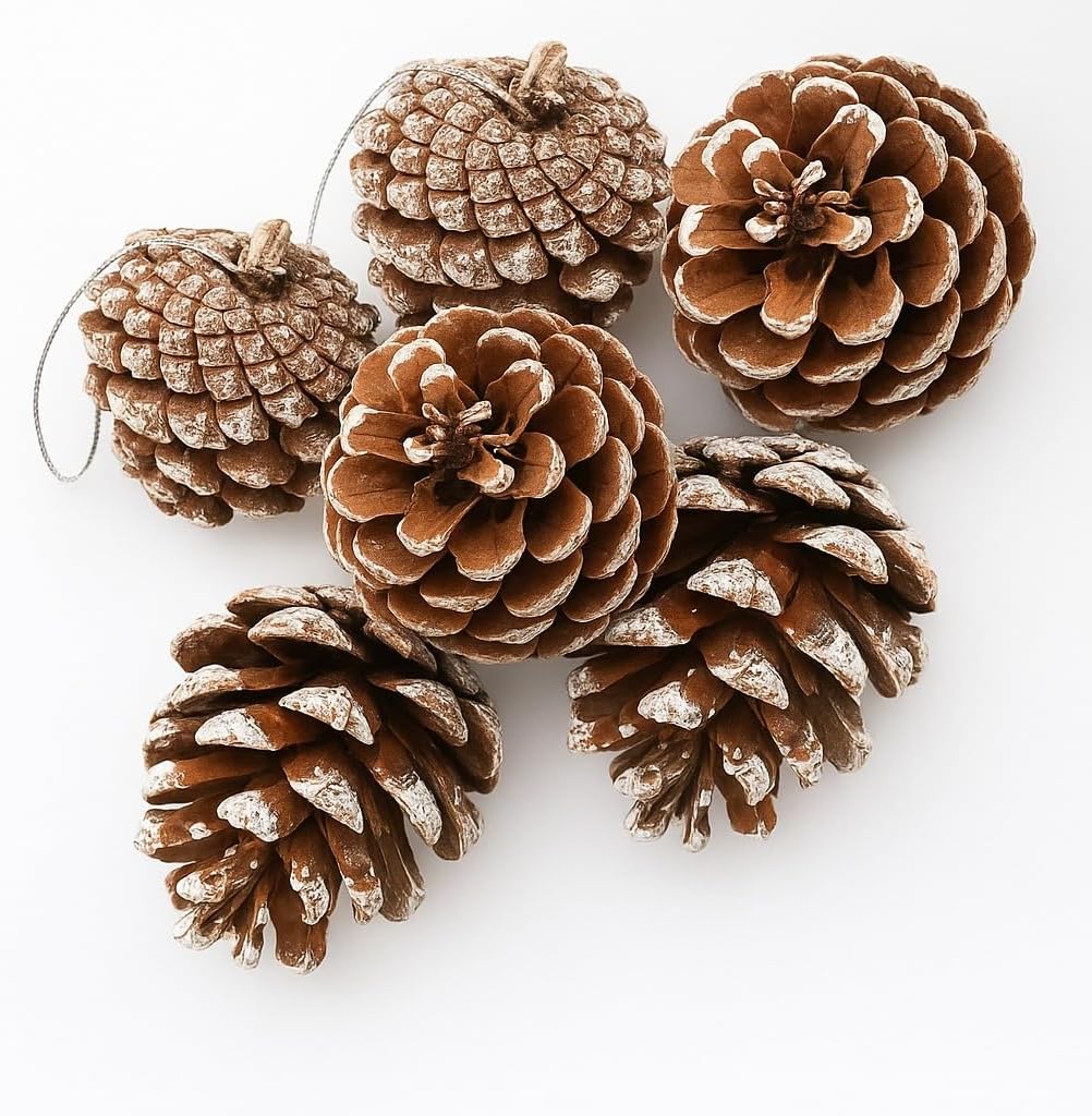 Amazon.com: 24 PCS Natural Snowflake Pine Cones with Strings – Rustic ...