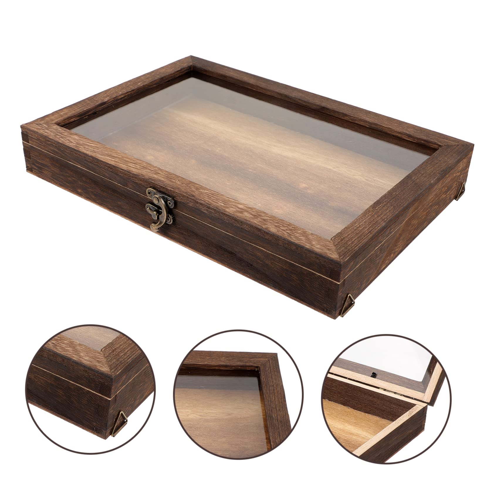 Holzvitrine Für Insekten & Schmetterlinge - Schattenbox Mit Glas