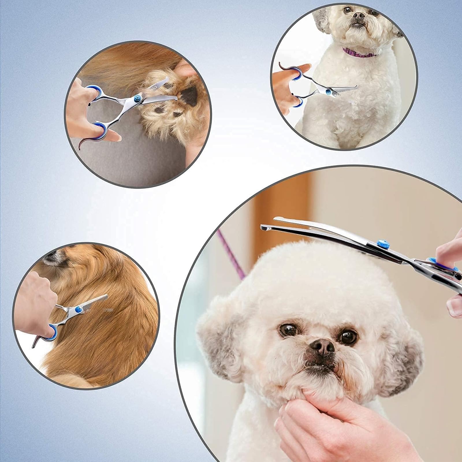 Professionnel Ciseaux Toilettage Chien, Lot de 2 Ensemble de Ciseaux de Toilettage pour Chien, Ciseaux Toilettage pour Animaux avec Embouts de Sécurité Ronds pour Chiens, Chats Cheveux Salon