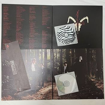 Amazon.co.jp: MERRYメリーLPサイズ仕様アルバム2枚まとめ売りセットV