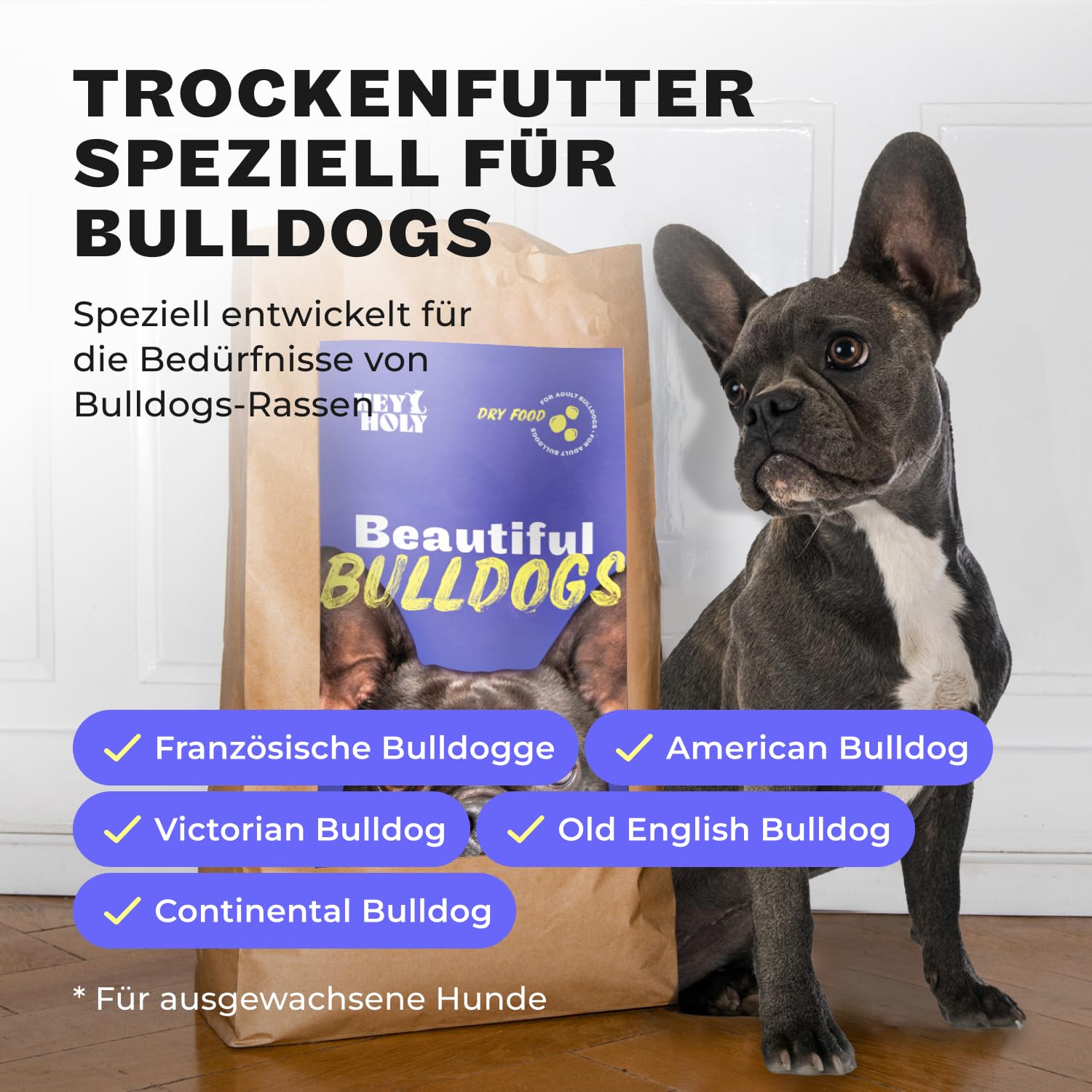 HEY HOLY Set 7 kg Premium Trockenfutter, 6 x 375 g Nassfutter & 1 x 200 g Snacks für Bulldoggen | 100% hypoallergen & getreidefrei | Hundefutter & Leckerlis für ausgewachsene Bulldoggen mit Lachs