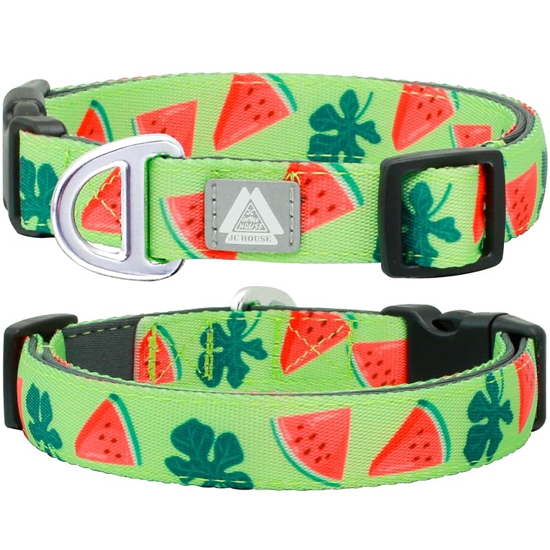 Coleira para Cães Grandes em Poliéster com Acolchoamento de Neoprene JC HOUSE, Watermelon, 41–64 cm