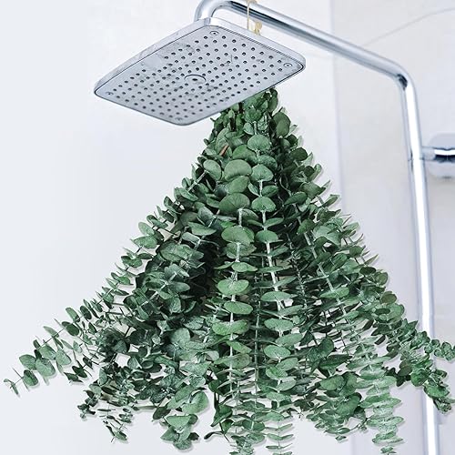 Miniatura 22 de 12 tallos de eucalipto secos para ducha, planta de ducha preservada de 17 pulgadas, hojas de eucalipto reales frescas para colgar en la ducha