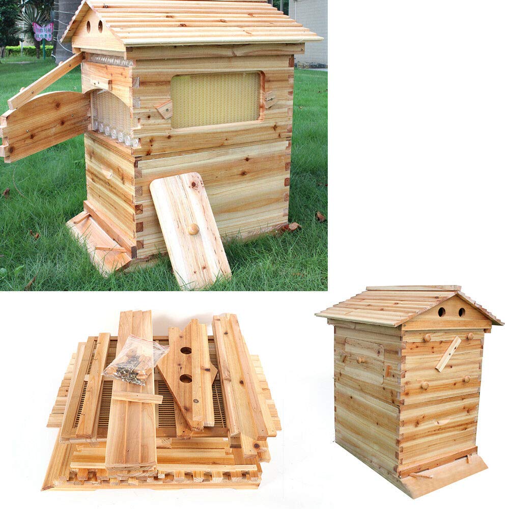 Buy DONSU Bee Hive House,Deluxe Bee Hive Wood House Auto Bee Hive House