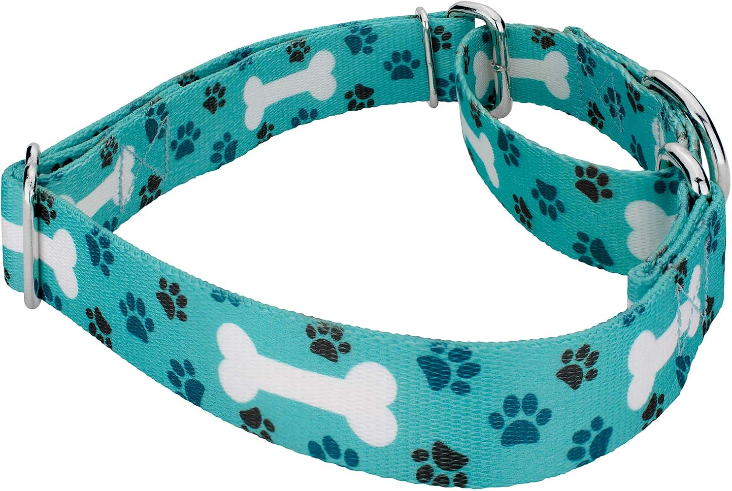 Country Brook Petz - Oh My Dog Martingale Dog Collar and Leash - Dog's Life Collection Featuring Playful Designs (1 Inch, Extra Large)