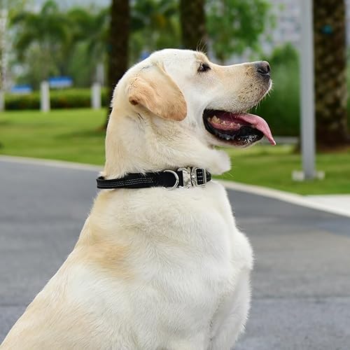 Miniatura 8 de Collar de perro resistente para perros de razas medianas a grandes, collar ajustable de nailon transpirable con asa de control, hebilla de metal de