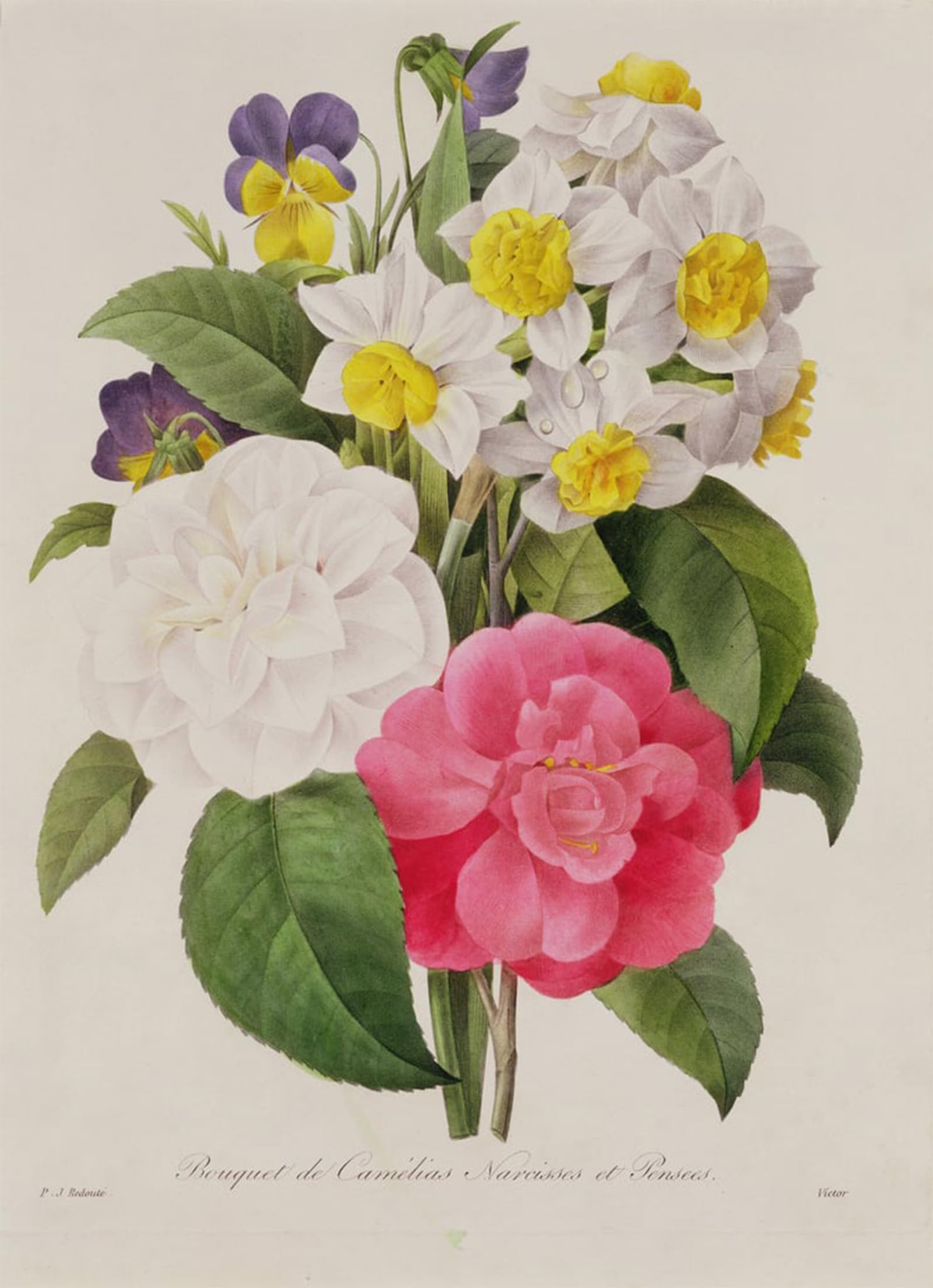 Tableaux fleurs de Pierre Redouté impression sur toile 60x90cm vintage - 5