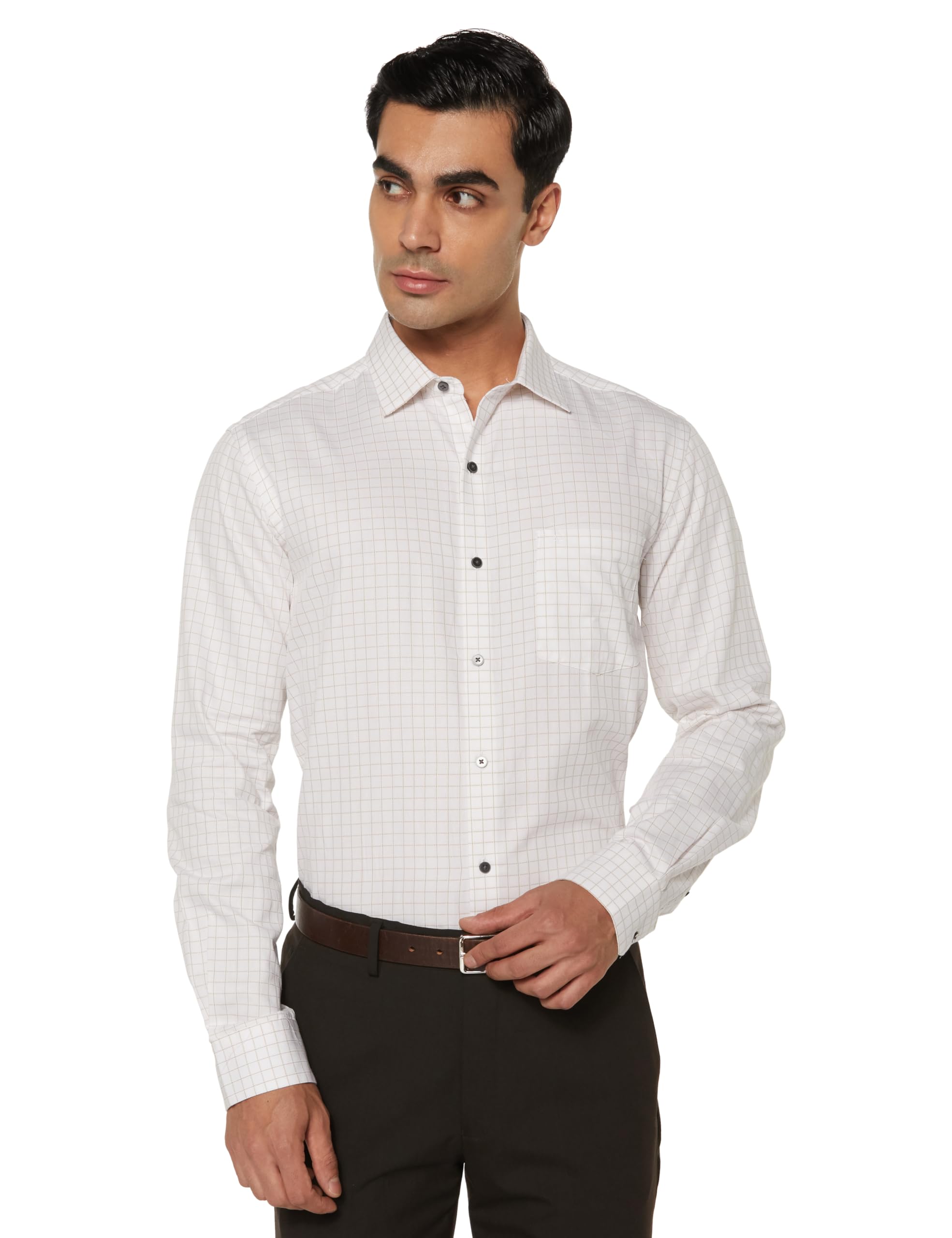 arrow Slim Fit Mens Formal Shirt - 100% Cotton, Breathable & Comfortable, Full Sleeves Checkered Shirts for Men-picture-49