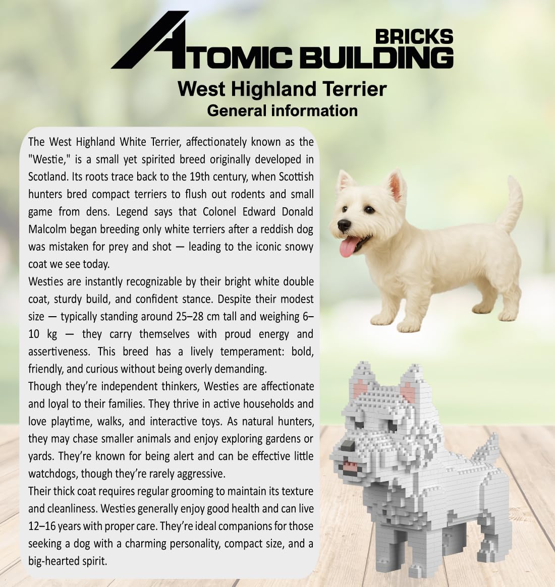 Figura para armar con Bloques en Miniatura. Perro West Highland White Terrier – Westie/Westy - 5