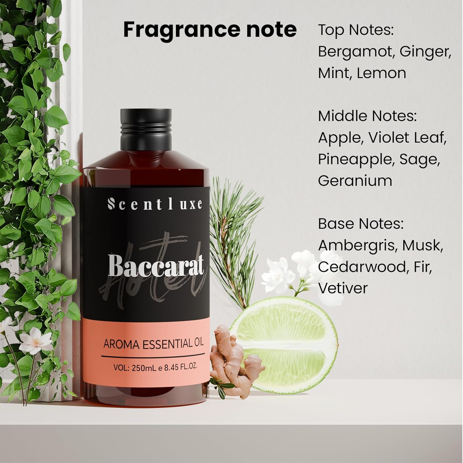 Hotel Scents Baccarat Diffuser Oil 8.45 Fl Oz (250ml), Home Luxury Aroma & Hotel Fragrance Essential Oil - for Aromatherapy Diffuser - Bigger Bottle, Longer Lasting Air Freshener - Image 5