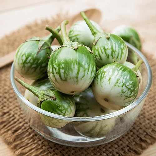 Miniatura 2 de QAUZUY GARDEN 80 semillas redondas de berenjena verde ProlificFast-Growing Tropical Solanum Melongena Seed para plantar el hogar, jardín al aire