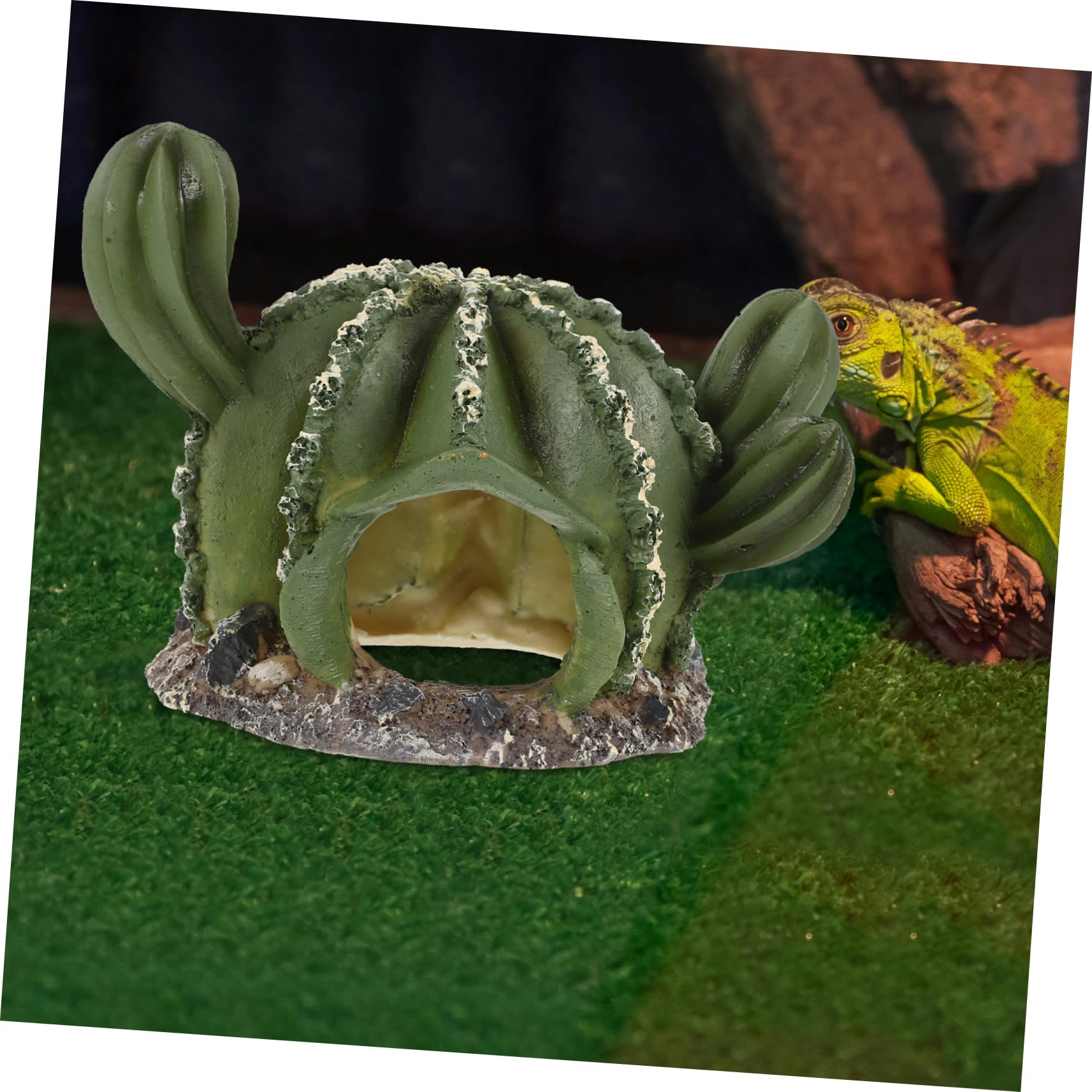 Happyyami 2pezzi Cactus Shaped Lizard Hideout Resina Per Rettili Decorazione Habitat Acquario Rifugio Per Lucertole e Tartarughe Design Realistico e Sicuro e Leggero