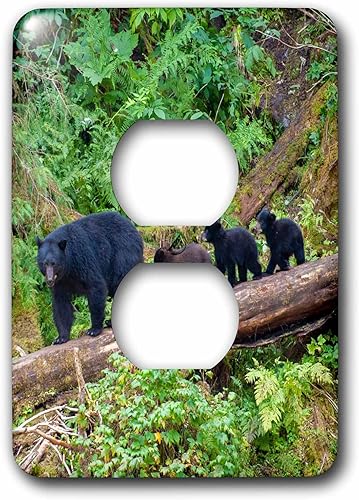 3dRose Black bear triplets follow mom at Anan Creek. - Light Switch Covers (lsp-380611-6)