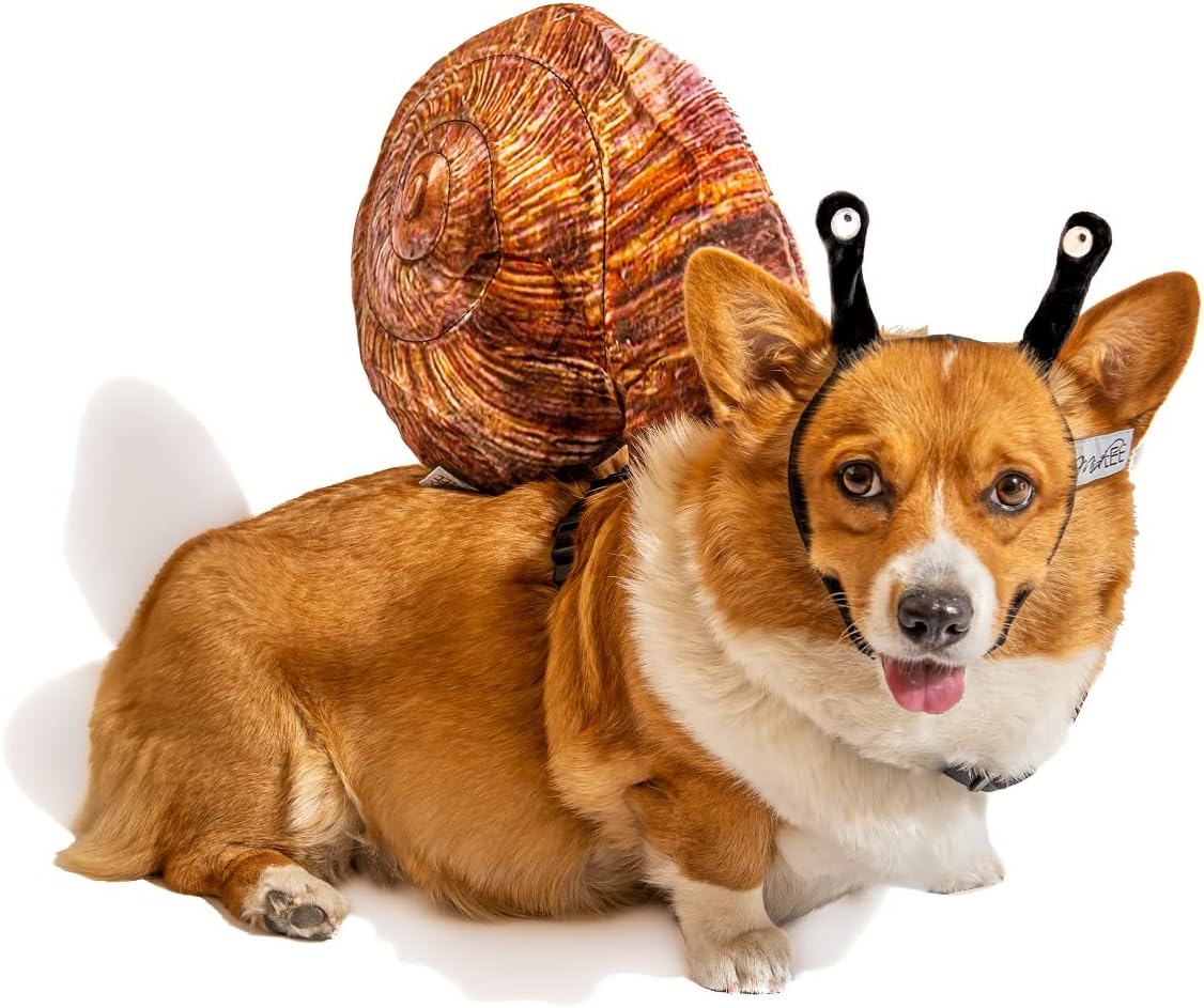 Disfraz de Caracol para Perro Midlee Talla Mediana