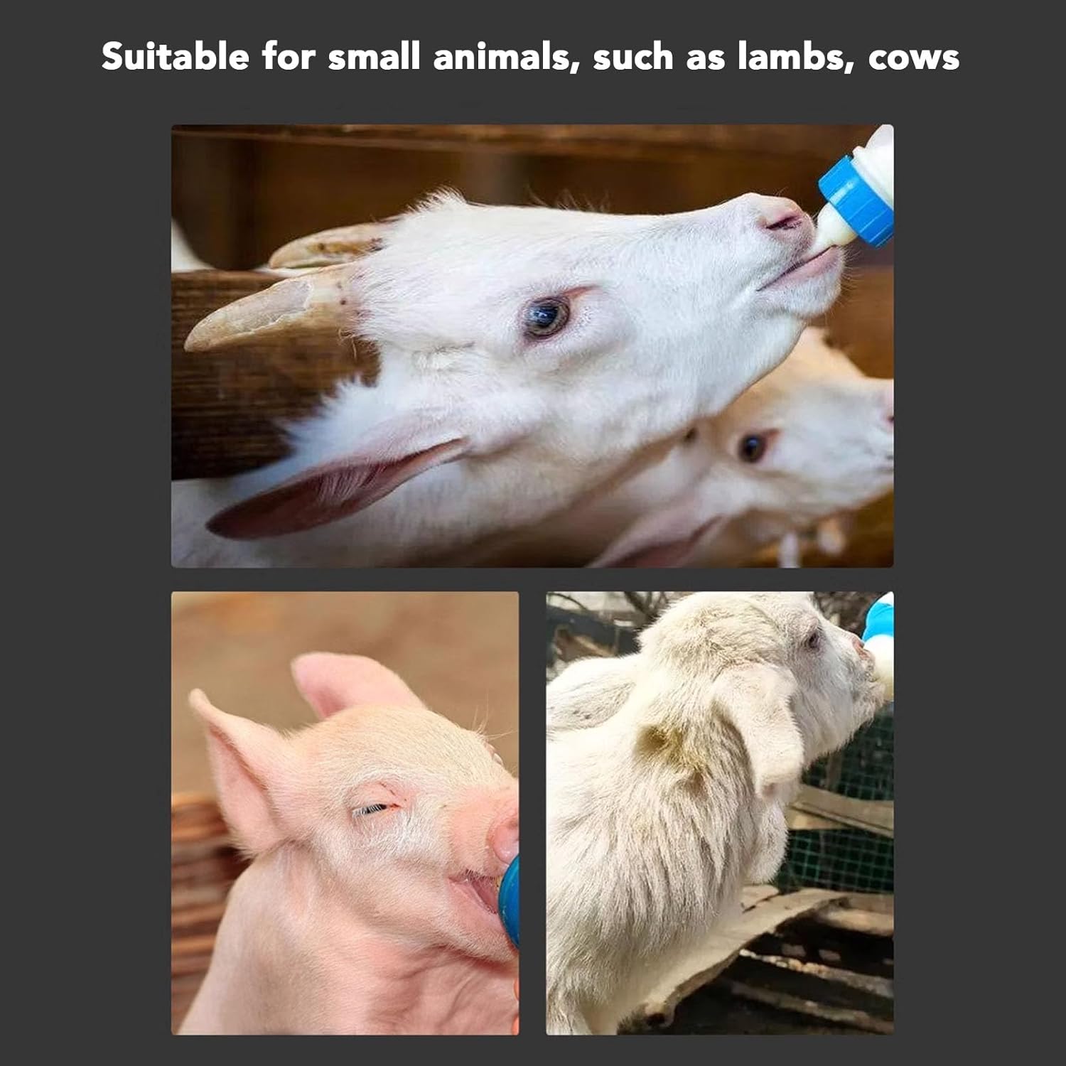 AUNMAS Lamb Feeding Bucket, Piglet Feeding Bottle with 6 Nipples, Livestock Milk Jug for Farm Animal Goat Lambs Dog