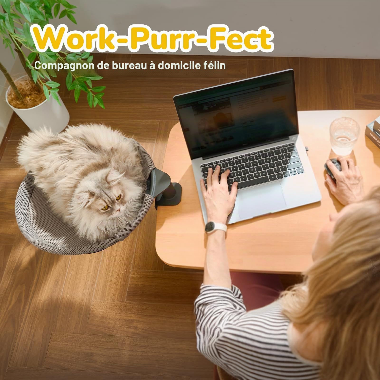 CATISM Lit de Bureau pour Chat Rotation de 360° Lit pour Chat avec 2 Tapis remplaçables Hiver/été Hamac pour Votre Bureau 36 * 38cm Jusqu'à 20kg