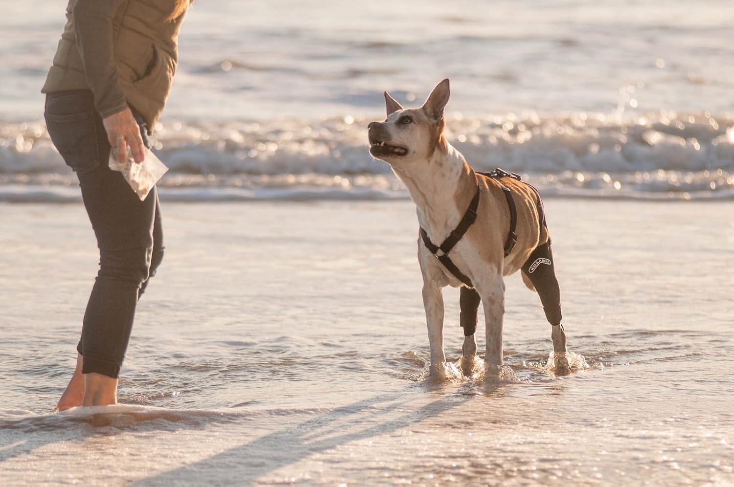 walkabout knee brace