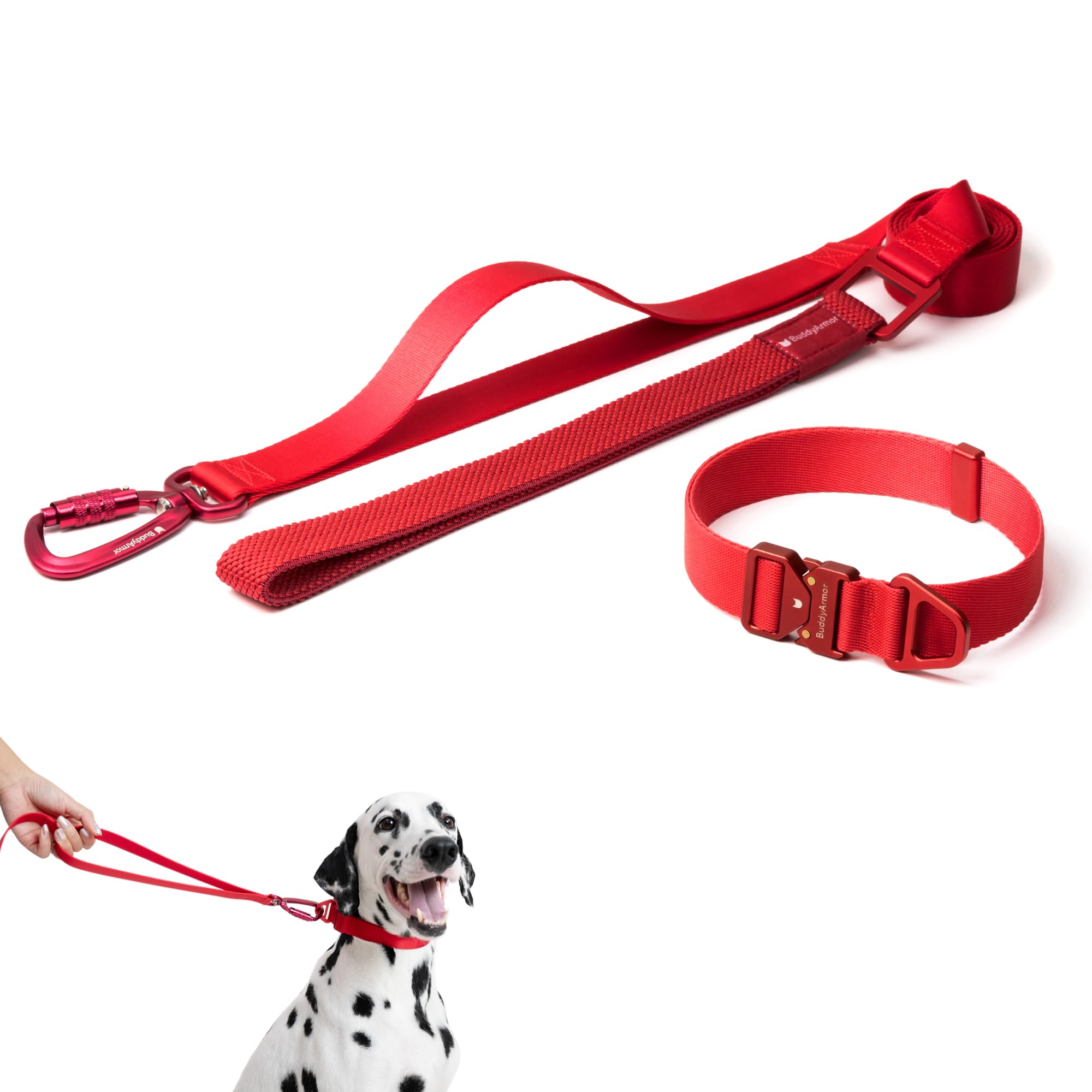 Ensemble collier et laisse anti traction avec boucle métal pour chien