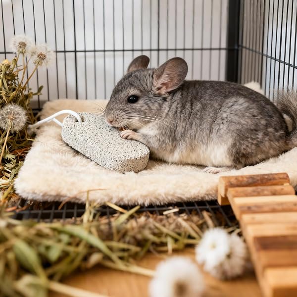 4 Pezzi Pietra per la Masticazione Degli Animali Domestici Masticabili per Animali Domestici Pietra Minerale al Calcio per Criceti Conigli e Cincillà Sicure e Naturali per Dentale (4) - 2