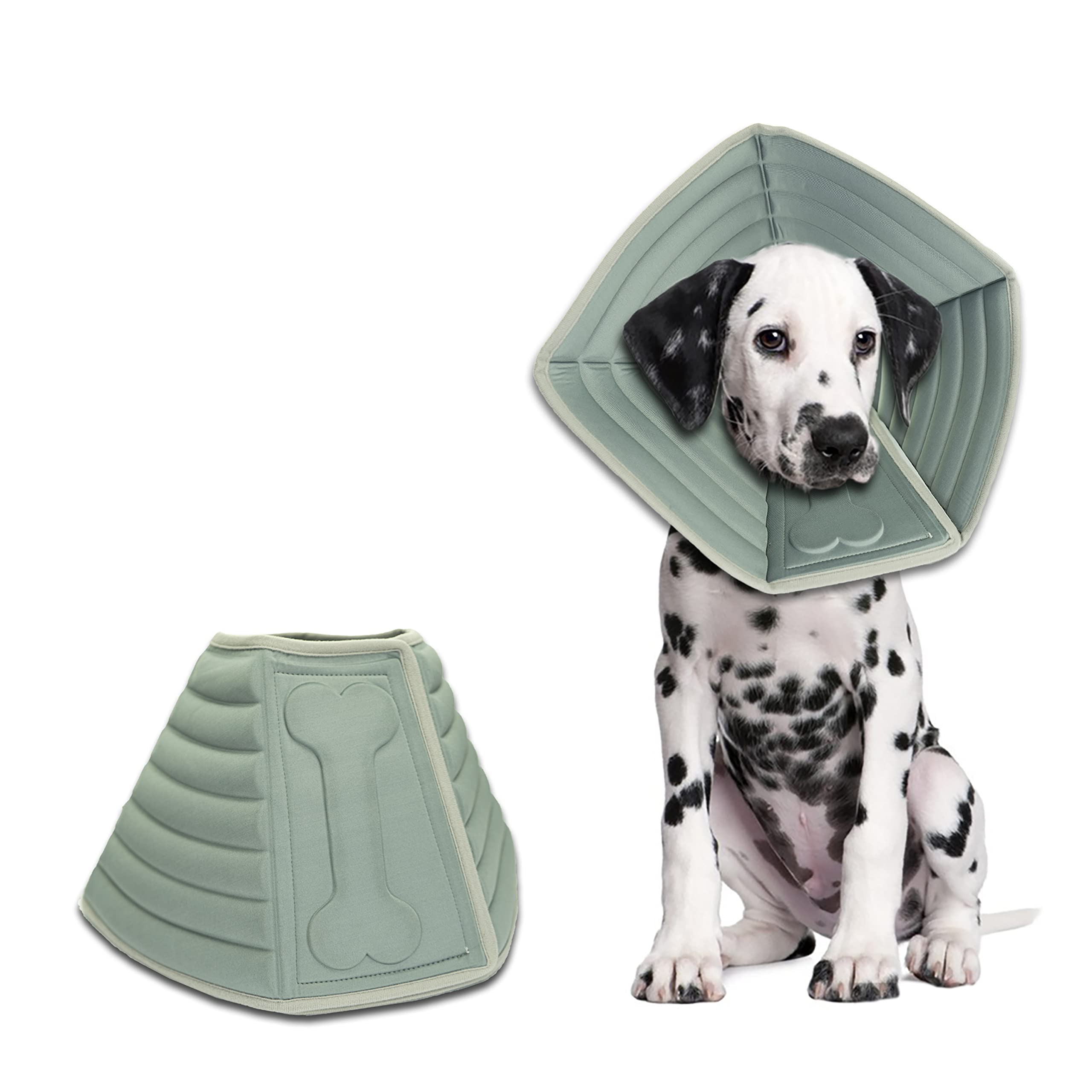 Can A Dog Heal A Wound By Licking It